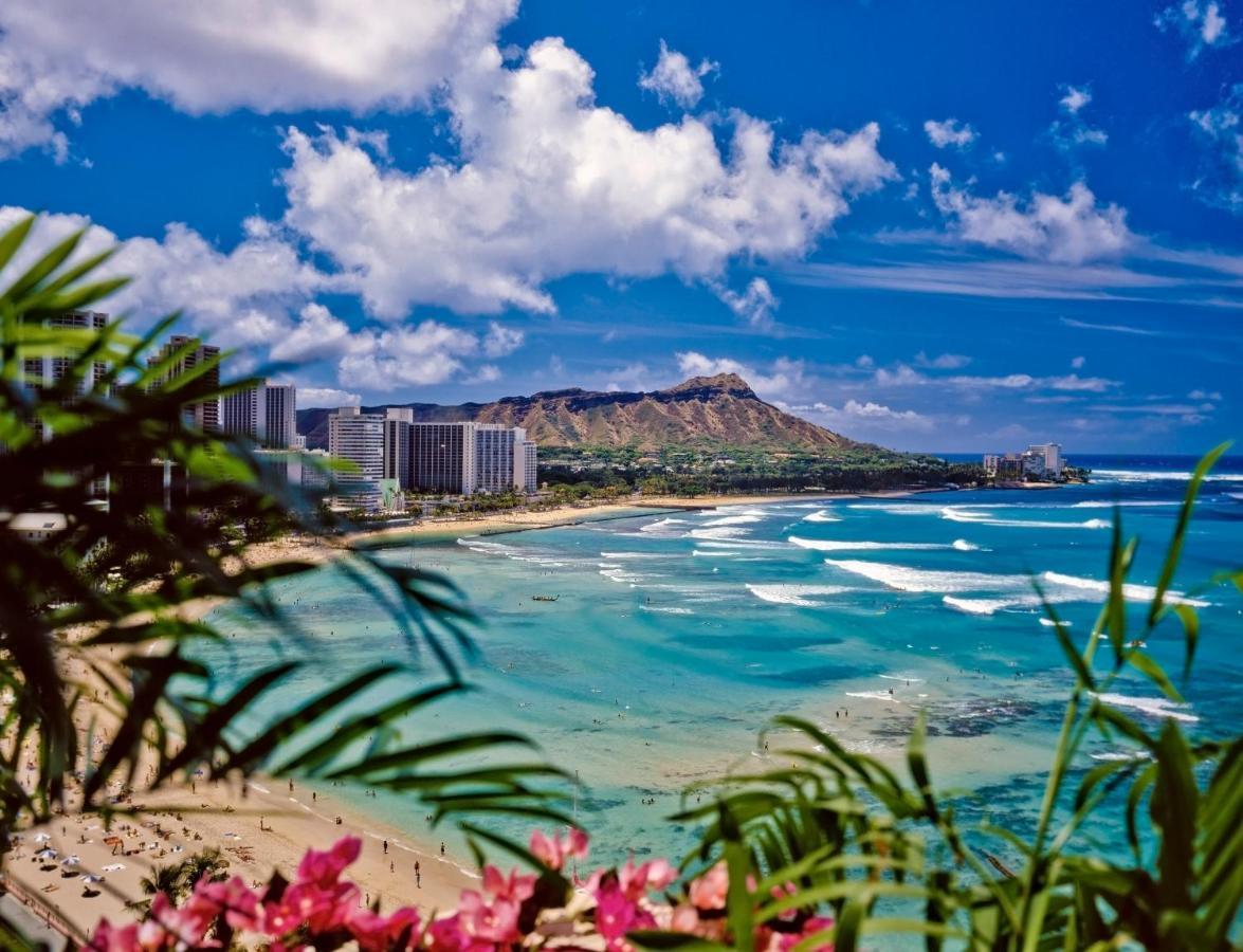 Great Diamond Head Views, 2Br Condo With Free Parking! Honolulu Eksteriør bilde
